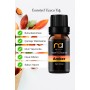 Amber Buhurdanlık Kokusu,Uçucu Yağ, 10 ml.